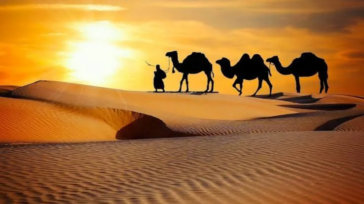 Desert Rajasthan