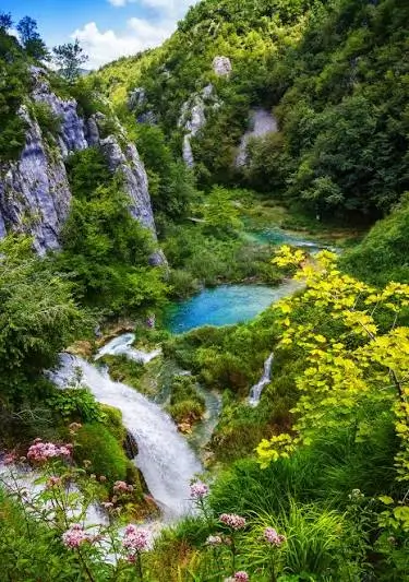 Park lakes